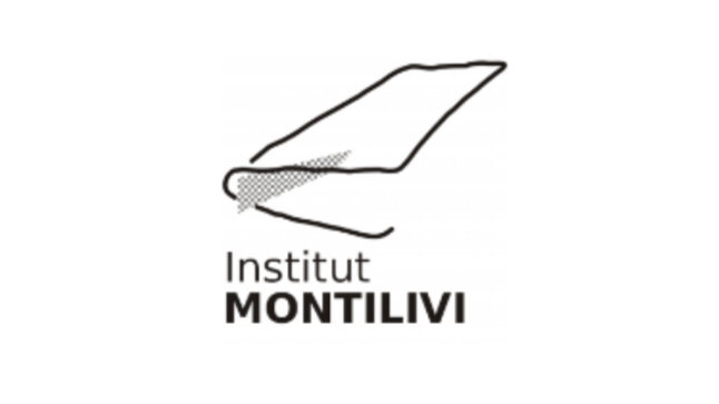 Institut Montilivi